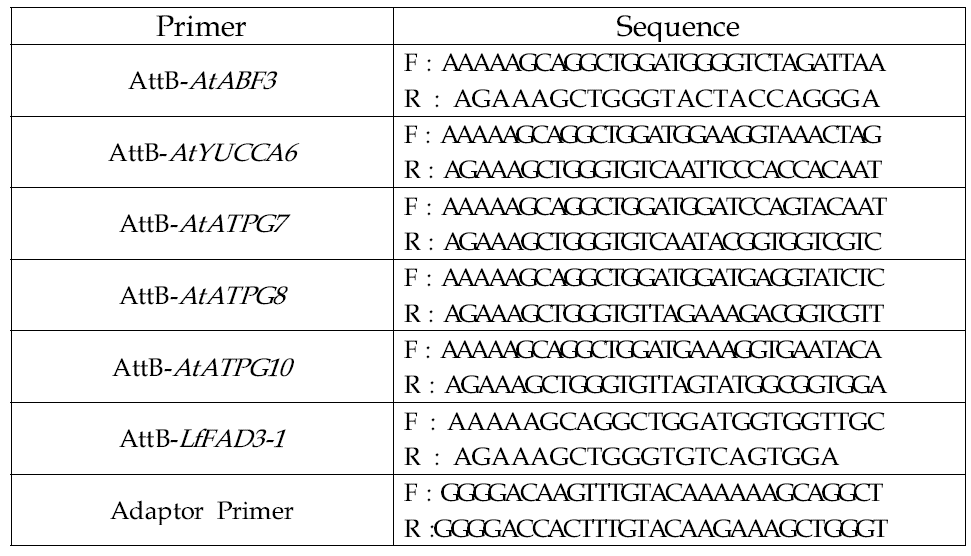 LM콩 도입 유전자 증폭에 사용된 Primer