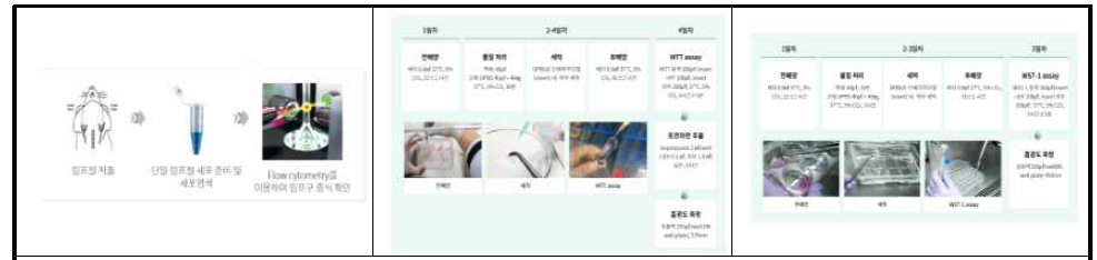 OECD에 등재된 국내 개발 동물대체시험법