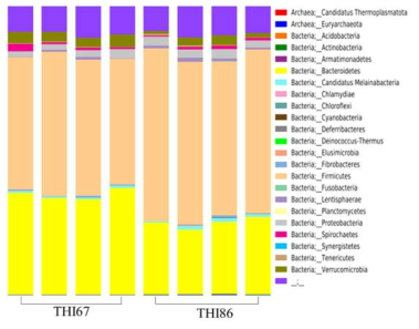 THI에 따른 문 수준의 분변 마이크로바이옴 구성