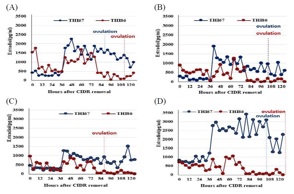 CIDR 제거 후 혈중 estradiol 농도 변화