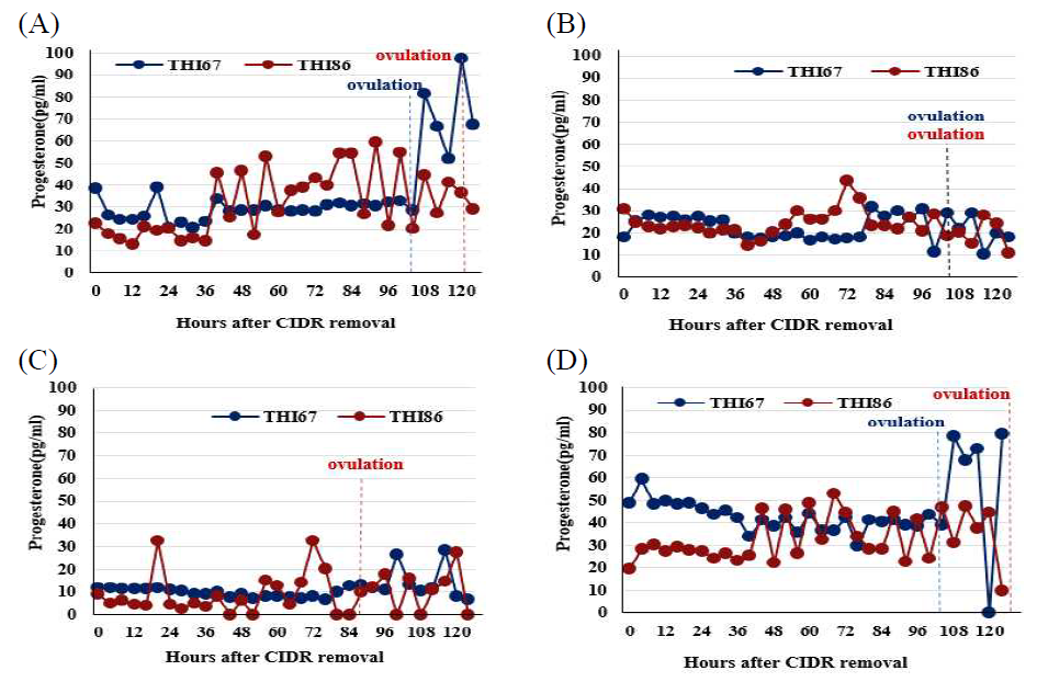 CIDR 제거 후 혈중 Progesterone 농도 변화