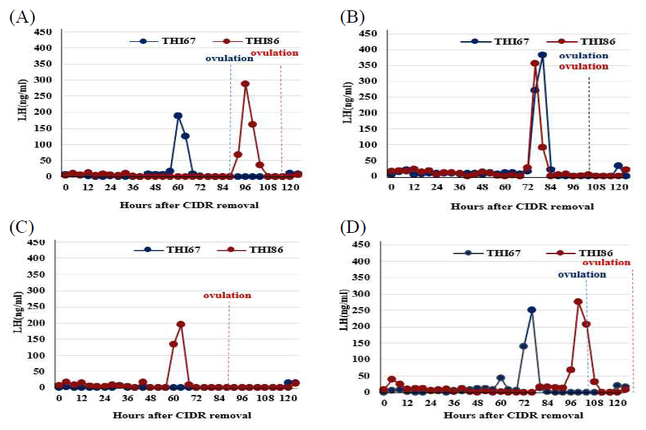 CIDR 제거 후 혈중 Luteinizing Hormone 농도 변화