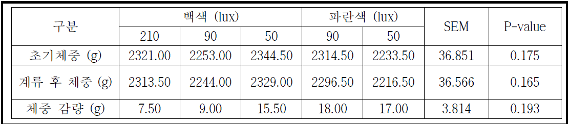 육계 계류 환경(점등색 및 조도)에 따른 육계 체중 변화
