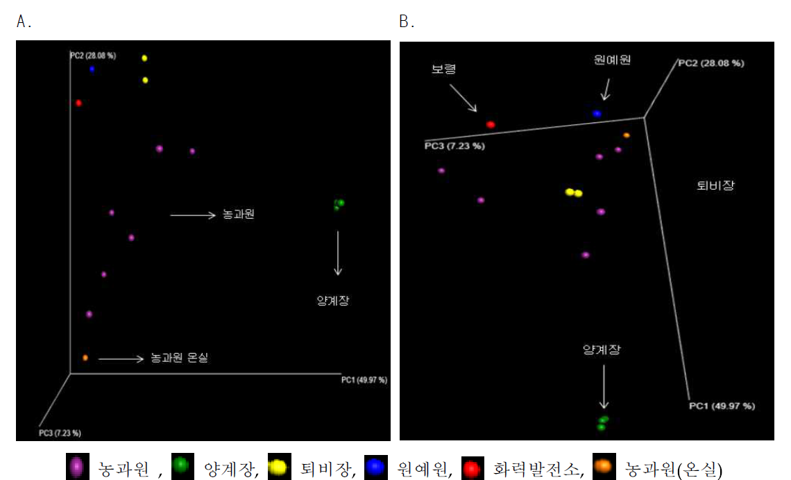 주성분 분석(PCA)을 통한 지역간 미세먼지 세균군집 유사도(A: 측면, B: 위)