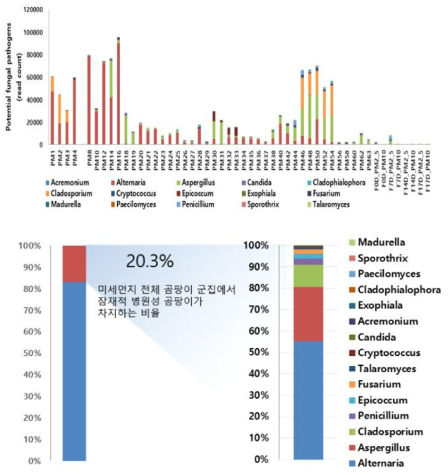 미세먼지 유래 잠재적 병원성 곰팡이의 분포