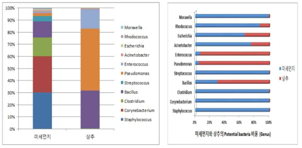 상추 재배시기에 포집된 미세먼지와 상추의 잠재적 병원성 세균 비율