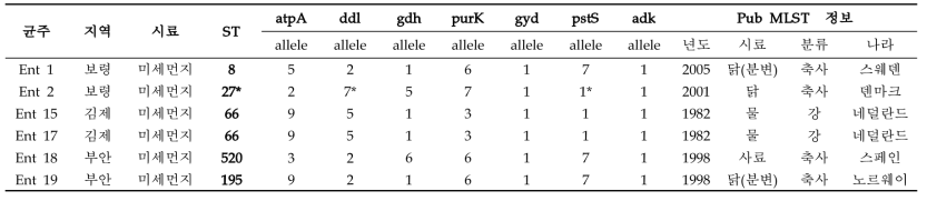미세먼지에서 분리한 Enterococcus faecium 의 MLST 분석