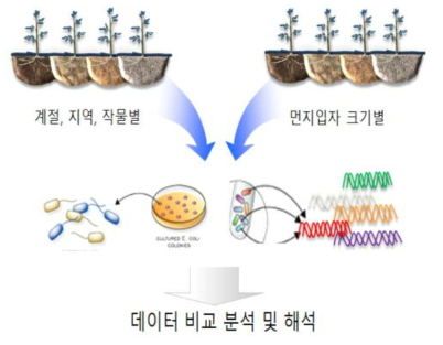 미세먼지 유래 유해미생물 군집분포 분석 모식도