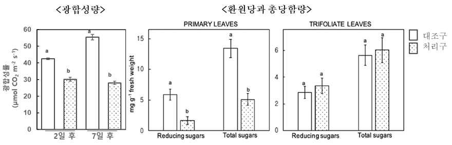 미세먼지 처리에 의한 녹두의 광합성, 증산량 및 당함량의 변화