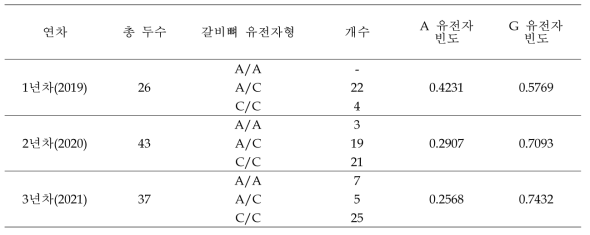 재래흑돼지 후대축 갈비뼈 연관유전자(LTBP2) 빈도 조사