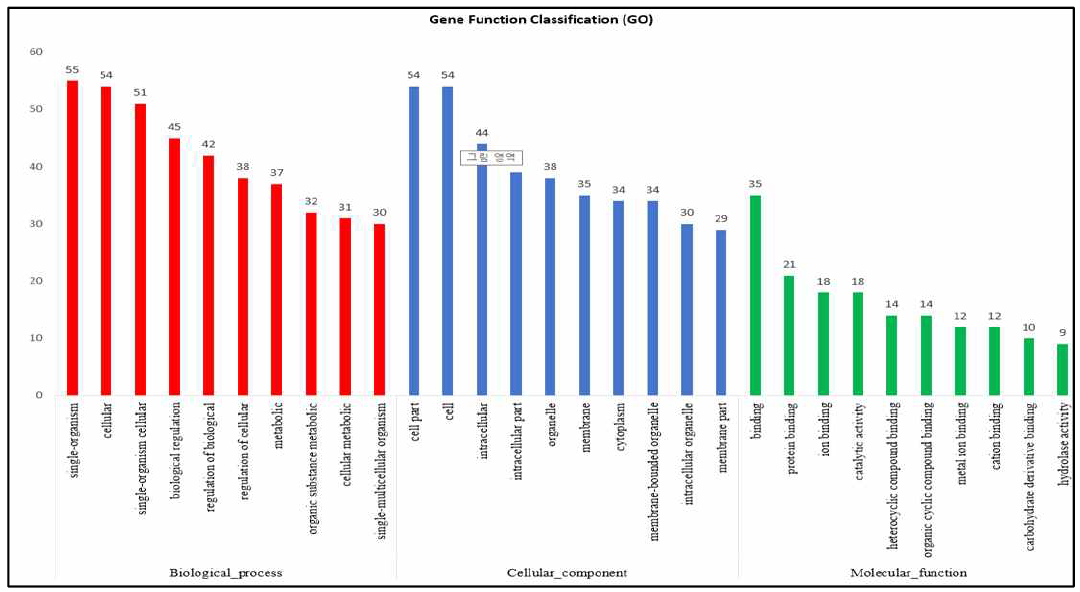 유전자 기능 분석(GeneOntology, GO)