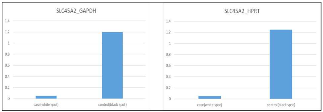 SLC45A2 유전자 발현 분석
