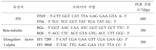 수집한 Fusarium균의 유전학적 유연관계 분석을 위해 사용한 프라이머 정보