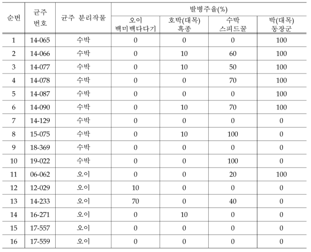 박과 작물 덩굴쪼김병균의 병원성 검정 결과