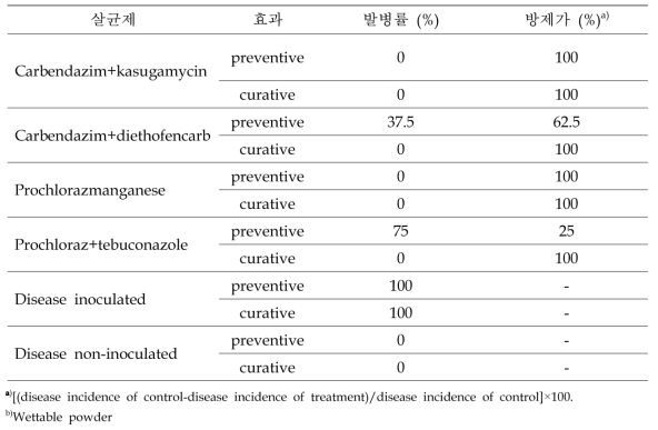 근경썩음병에 대한 살균제의 예방 및 치료 효과