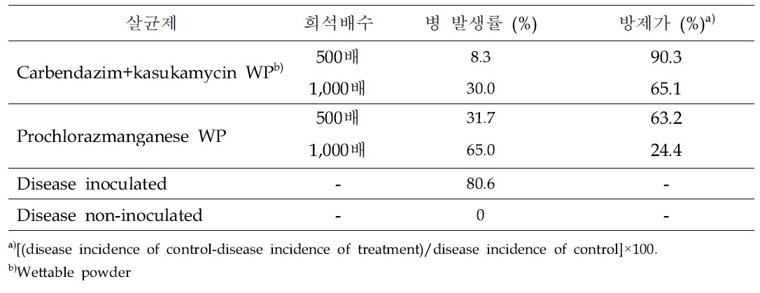 오이 근경썩음병에 대한 살균제의 방제효과