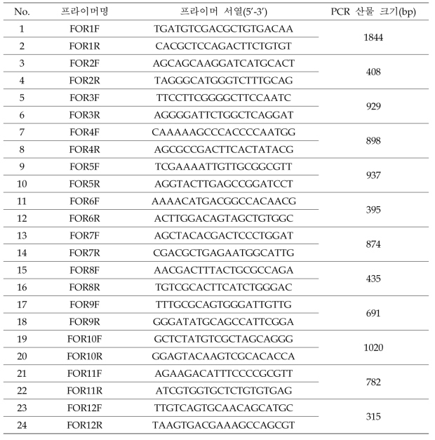 오이, 수박 덩굴쪼김병 검출용 프라이머 세트 정보