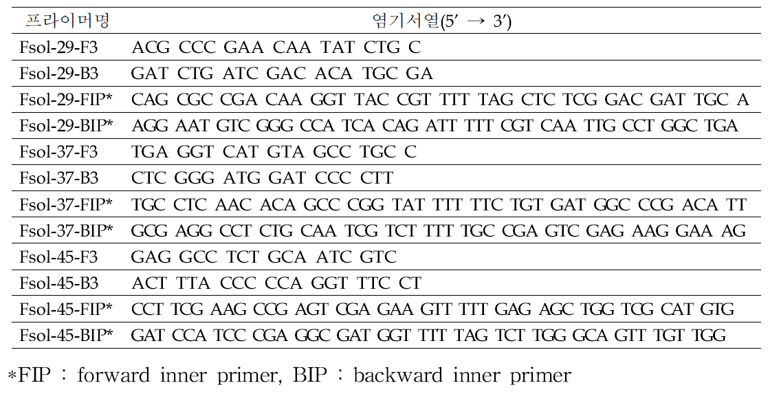 오이·수박 덩굴쪼김병균 등온증폭용 LAMP법에 사용한 프라이머 세트