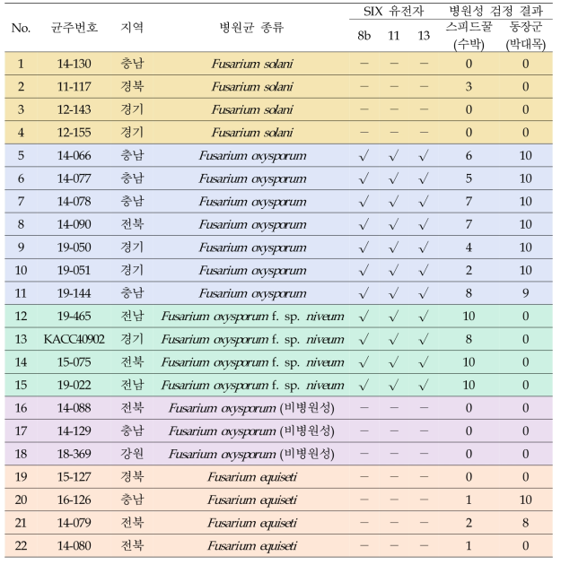 SIX 유전자 3종의 결과를 이용한 수박 Fusarium 균주들의 병원성 특성 조사 결과