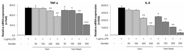 Effects of yam and yam seed on TNF-α and IL-6 mRNA expression in LPS-stimulated RAW264.7 macrophages> RAW264.7 macrophages were stimulated with 1 μg/mL LPS and various concentrations (50, 100, 200, 500 μg/mL) of yam and yam seed extract. All values are means of determinations in three independent experiments. Values are mean±SD