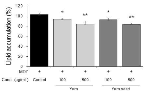 Inhibitory effects of yam and yam seed on lipid accumulation in differentiated C3H/10T/1/2 adipocytes> Quantified by measuring the lipid accumulation. All values are means of determinations in three independent experiments. Values are mean±SD