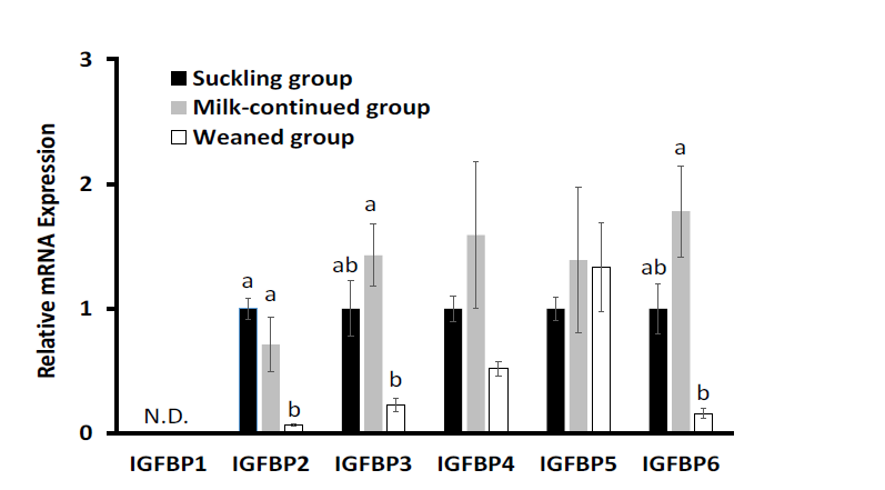 이유 전구(Suckling), 이유 후구(Weaned), 대용유지속급여구(Milk Continued)의 반추 융모조직에서의 IGFBP1, 2, 3, 4, 5, 6의 유전자 발현량 ab: 그룹간의 유의차 (P<0.01) (Nishihara et al., 2019, J Animal Science 90:1287-1292)