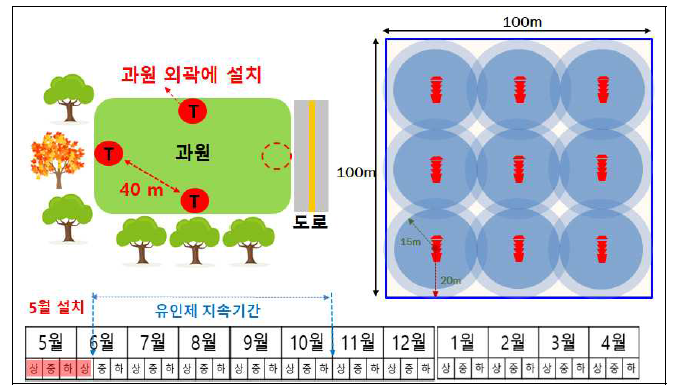 감귤원 내 알락하늘소 트랩 설치 모식도