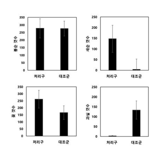 병든 잎 제거한 나무의 새순 발생량, 착화량, 착과량