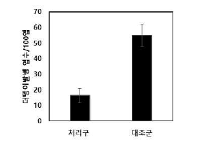 새순 더뎅이병 발병 정도