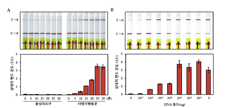 더뎅이 RPA-CRISPR/Cas12a-LFA 검정법의 조건 설정(A) 및 민감도 테스트(B)
