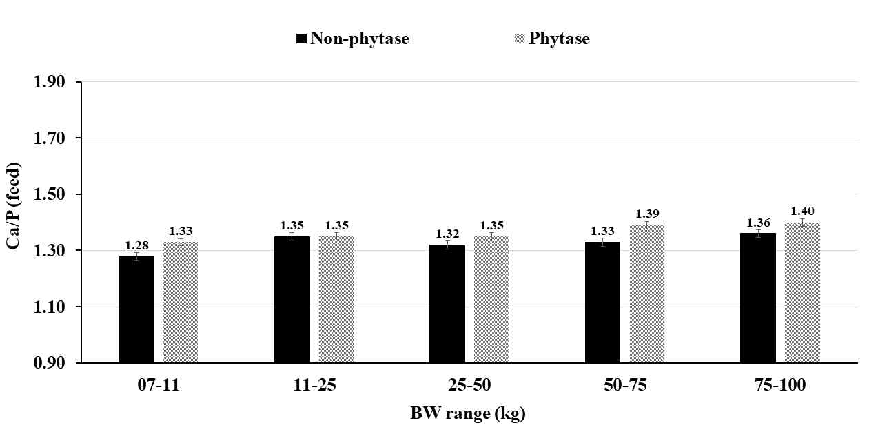 Comparison of Ca/P ratio in feed to estimate optimal Ca digestibility by BW range