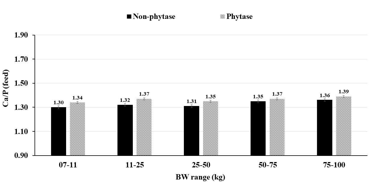 Comparison of Ca/P ratio in feed to estimate optimal P digestibility by BW range