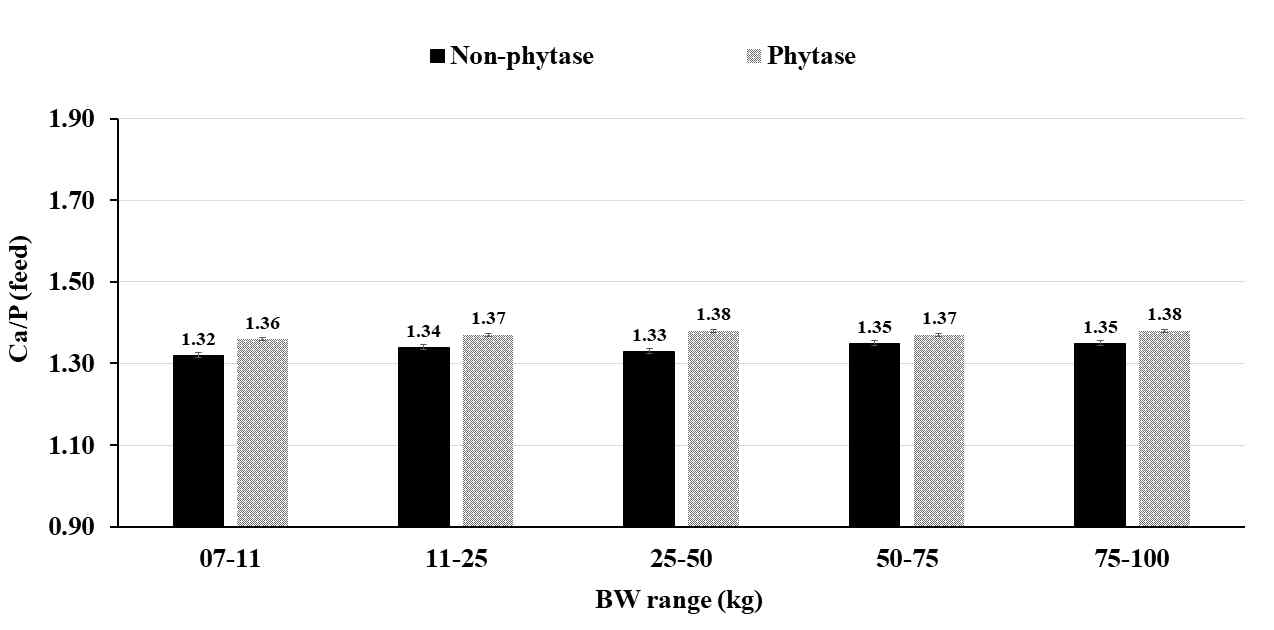 Comparison of Ca/P ratio in feed to estimate optimal CP digestibility by BW range