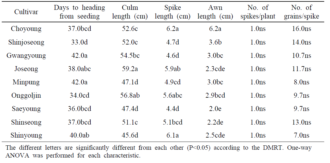 Speed breeding 조건에서 트리티케일의 작물학적 특성