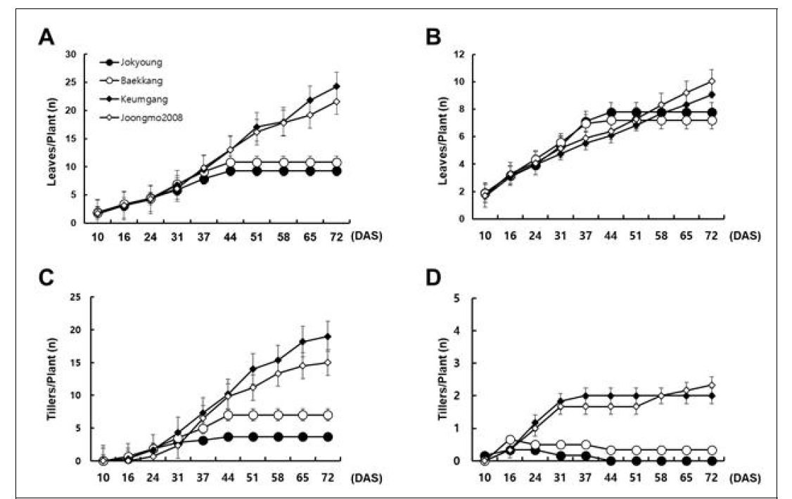 Speed breeding 조건에서엽수및분얼수증가도. A, C: 12㎝ pot. B, D: 72-cell tray