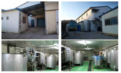 Photographs of the brewing company for the medium scale Yakju fermentation in this study