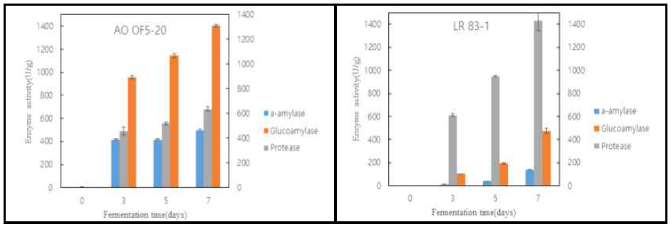 제국기간에 따른 종균별 효소활성 분석