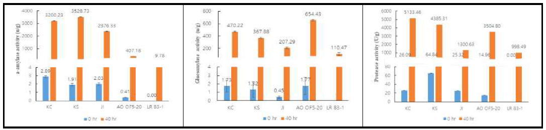 종균별 다양한 발효제의 효소활성 Symbol : KC, CMF; KS, SWF; JI, Japan; AO OF5-20 RDA; LR 83-1, RDA