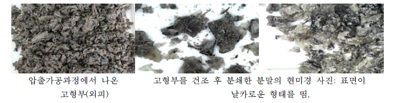 BSFL 압출분리를 통해 생산된 고형부(외피)의 외관 및 확대 사진