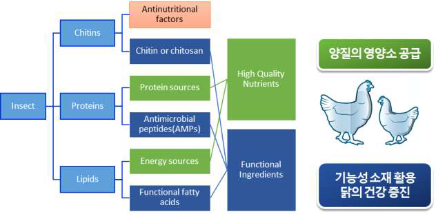 유용 곤충의 영양소 분획과 영양소 및 기능성 소재로서의 활용도