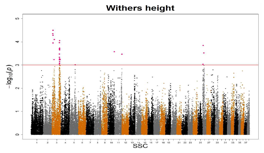 Withers height Manhattan plot