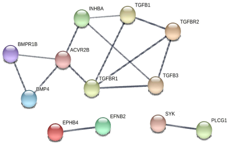 Interaction Network of genes associated SNPs for DI and 체형 traits