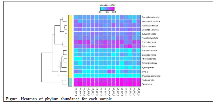 Heatmap 분석(Phlyum Level)