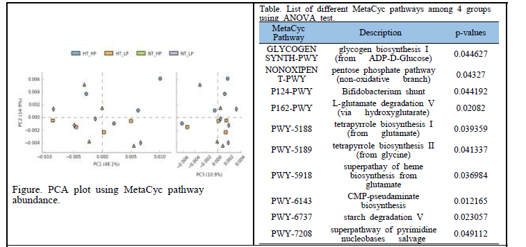 MetaCyc pathway PCA plot 및 List of different MetaCyc pathways