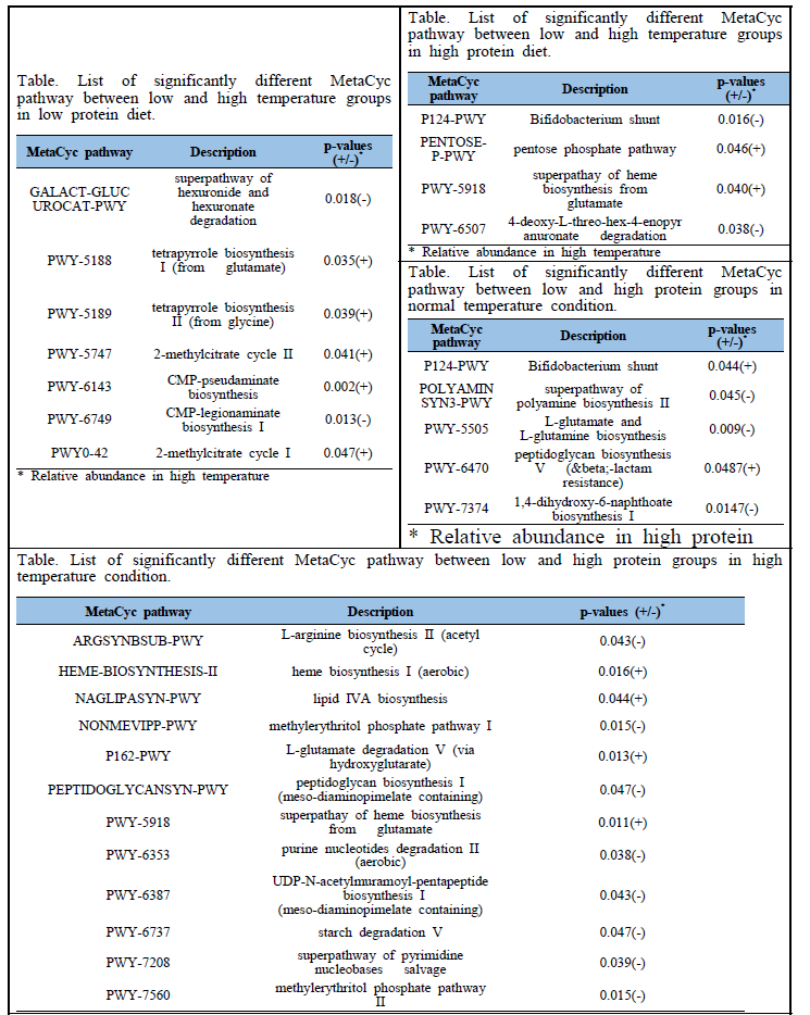 처리조건에 따른 List of significantly different MetaCyc pathway