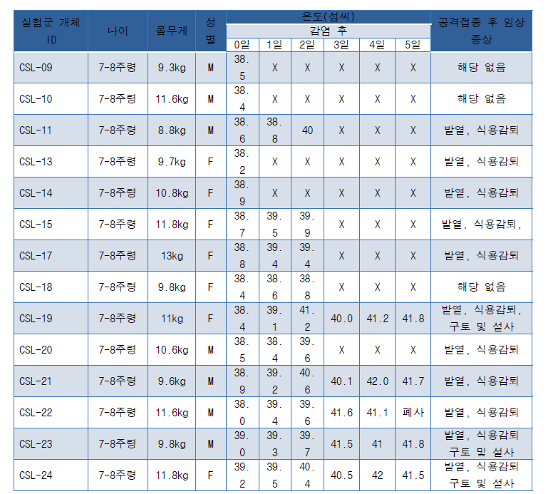 공격 접종된 돼지들 정보 및 임상증상 요약 (X: 도축된 돼지)