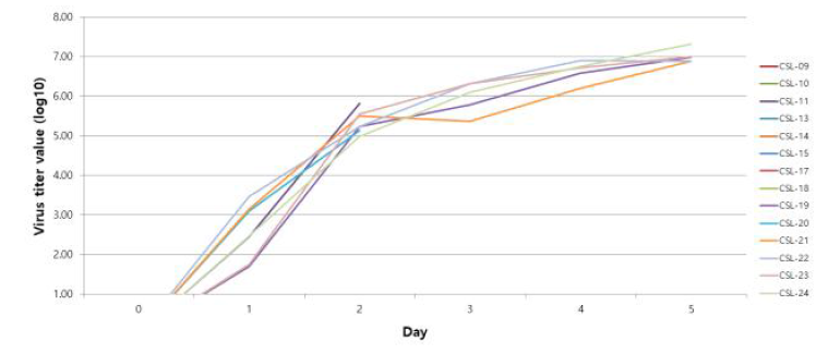 2차 감염실험 개체의 virus titer 값의 변화