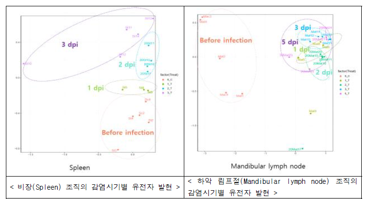 비장 및 하악림프절 조직의 0, 1, 2, 3, 5일차의 유전자 발현 양상