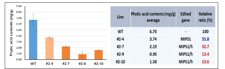 MIPS1 유전자교정 콩 T2 종자를 이용한 피틴산 함량 검정