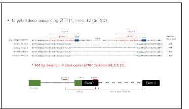 E2 단일 유전자교정 T0 식물체의 targeted deep sequencing 검정